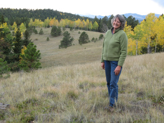 Cheryl Conklin 2014 (2)