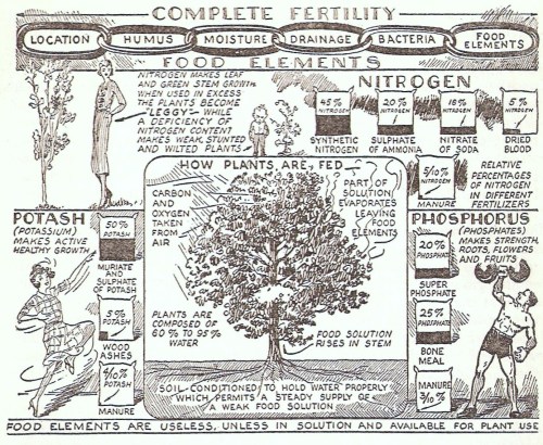GardenMagicFertilizerIllustration 001 (2)