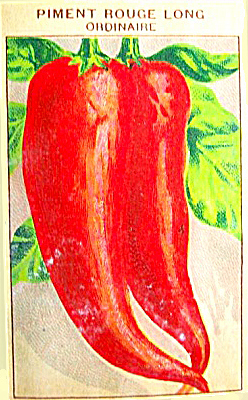 Piment Rouge Long Ordinaire