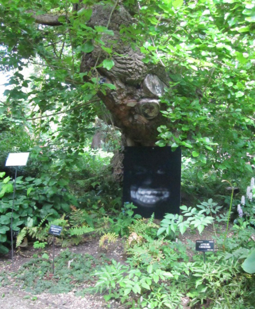 A deliciously spooky Cheshire Cat.