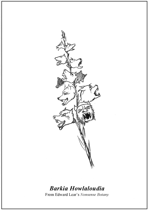EdwardLear_Barkia_Howlaloudia 001 (2) copy