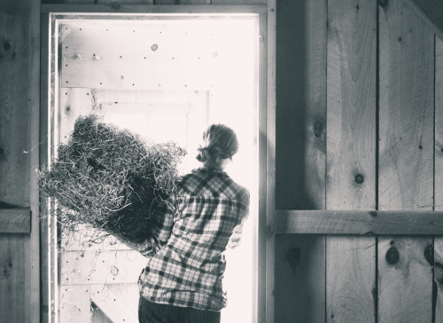 IMG_1698 copy 2-2 (2)