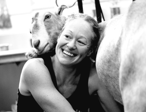 Lois at Dairy-Air. Lois has a micro-dairy with about 15 goats. She makes artisan cheeses.