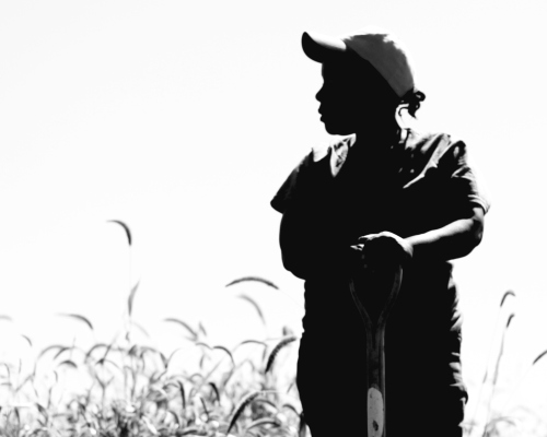 My personal favorite: a stunning silhouette of Angelique at Wabi Sabi Farm.