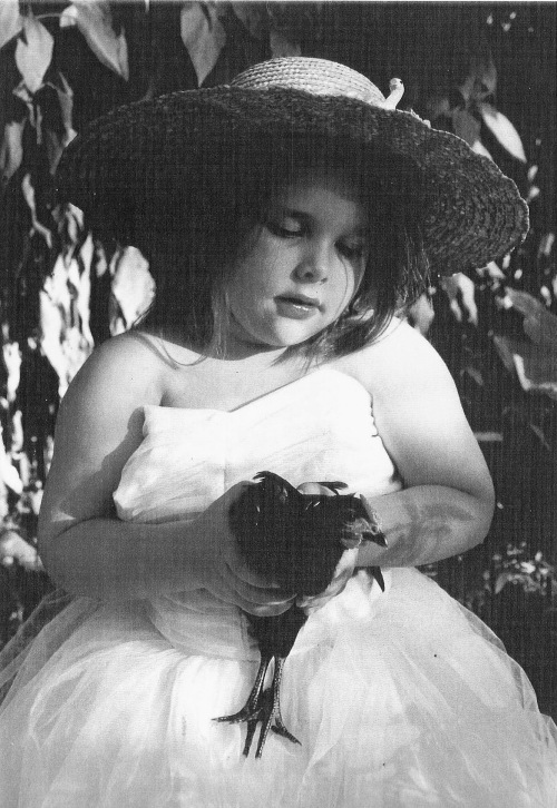 Lily and Garrett, her black rosecomb rooster.