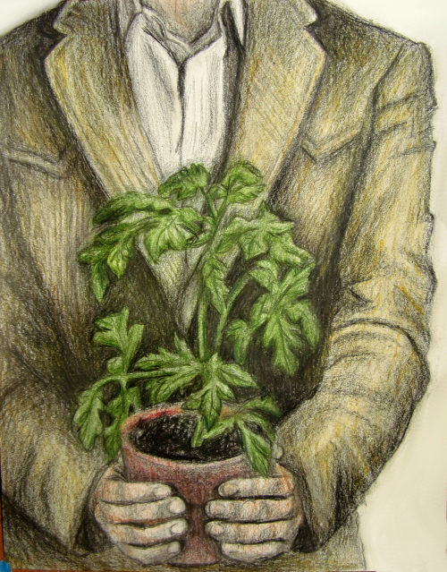 Illustration by Laura Chilson