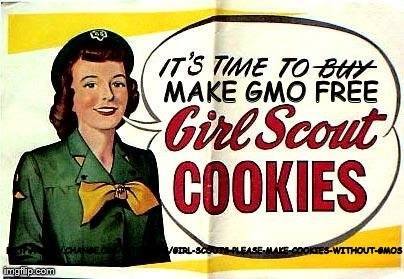 imgflip.comgirlscoutnogmoimage