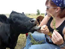 Leah Ashley Esser, sometimes known as the "cow whisperer."
