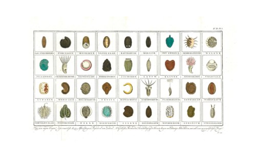 Johannes Florentius Martinet (1729 - 1795)