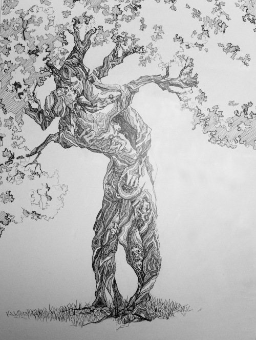 Song of Songs, #1, Summer