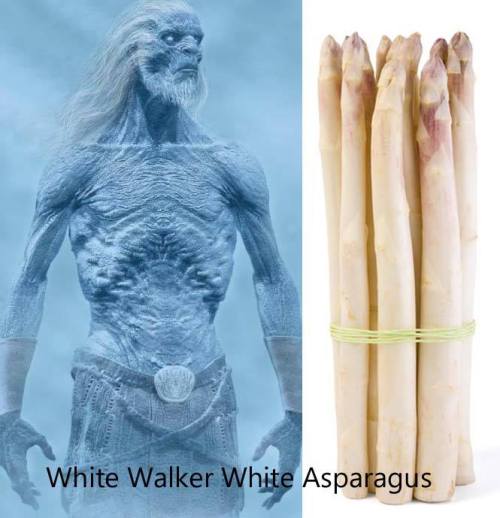 White Walker White Asparagus by Jessy Randall