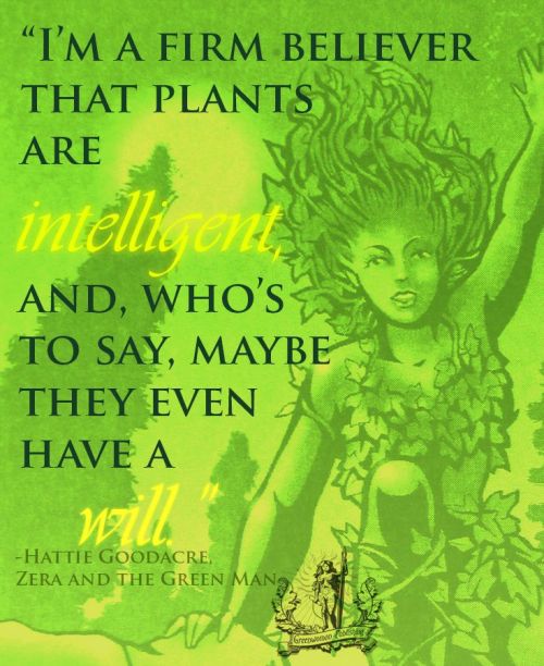 Quote from Zera and the Green Man (drawing by Mike Beenenga). All posters are by Lisa Repka.