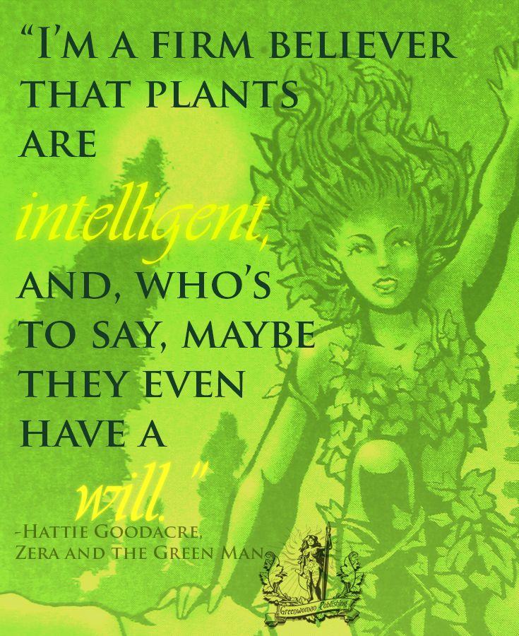 Zera Pin - Green Woman I'm a Firm Believer