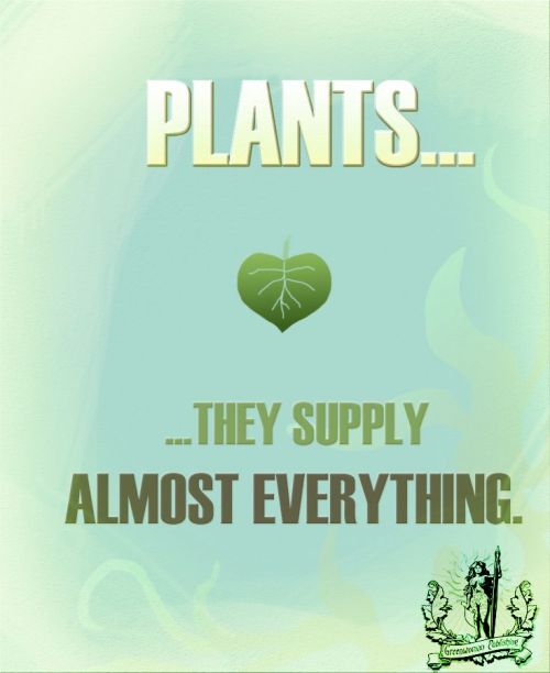 Zera Pin - Plants They Supply