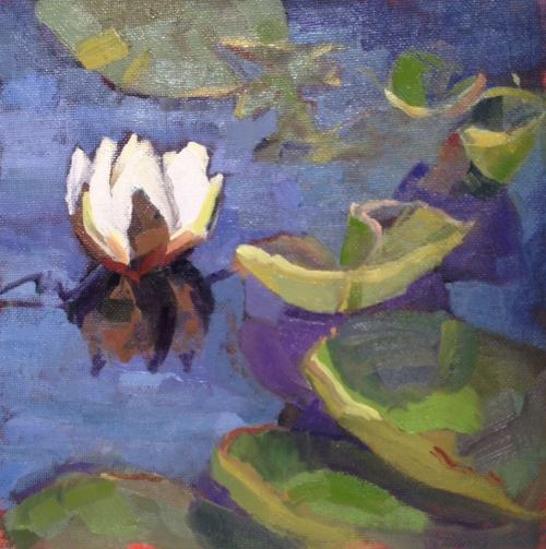 "Waterlily in Sandra's Garden" by Karen Storm