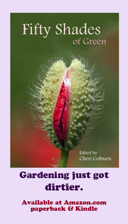 You may be seeing our "card" on a bulletin board near you!