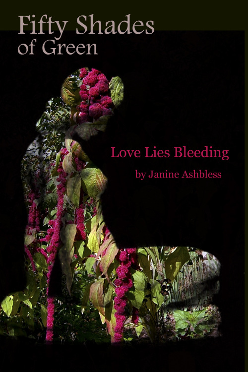 Beautiful cover for "Love Lies Bleeding" created by Zora Knauf.