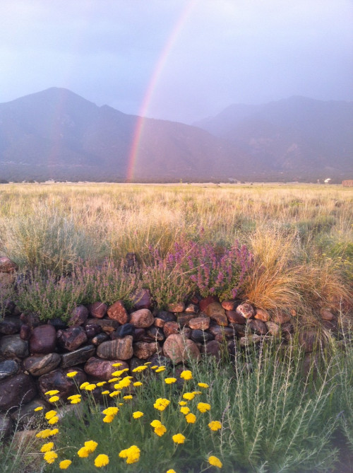 Fawn Bell's San Luis Valley garden retreat.