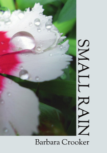 Small Rain by Barbara Crooker