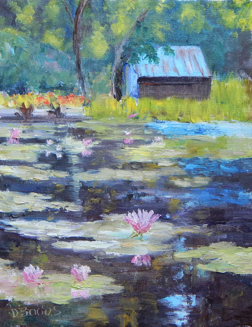 Water lily pond at the Denver Botanical Garden. 