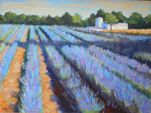 Lavendar Fields, Los Poblanos Historic Inn & Organic Farm near Albuquerque, New Mexico 