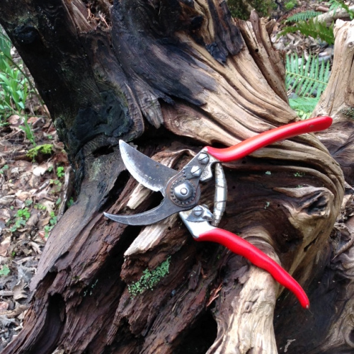 Knoll_pruners