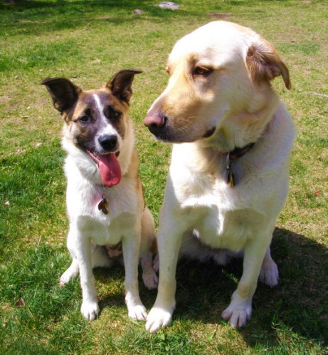 Dad's 80th birthday 006