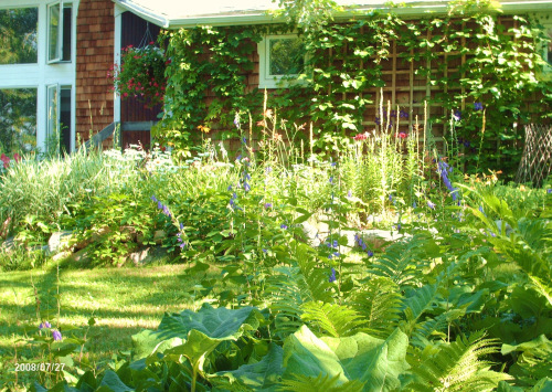 garden in the morning 006