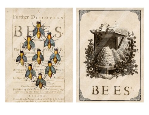 il_570xN.772998964_59i5