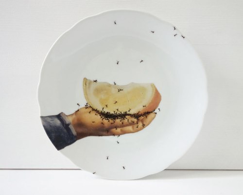 ant-ceramics-vintage-porcelain-evelyn-bracklow-6 (2)