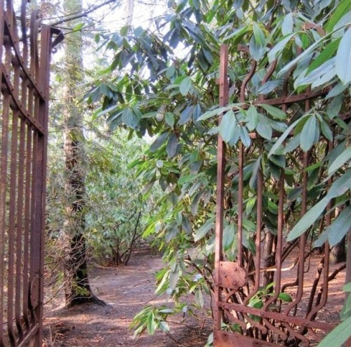 Through a Garden Gate (2).jpg