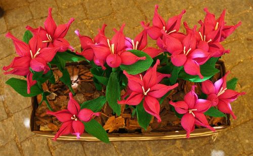 crepe_paper_flowers_2