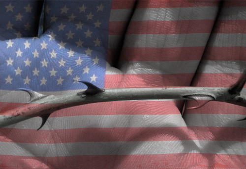 tenthousandrosebushes