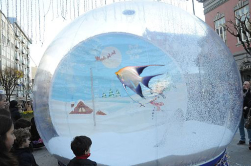 snow_globe_angel_fish