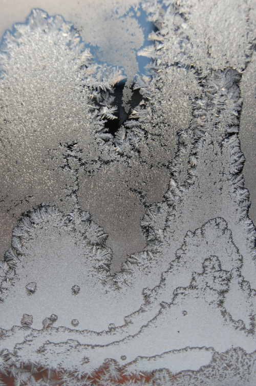 By Angela-Marie-from-NRW-slash-Germany-via Wikimedia Commons