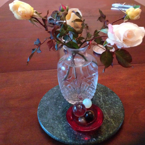 rose-tricia-knoll-photoshopped