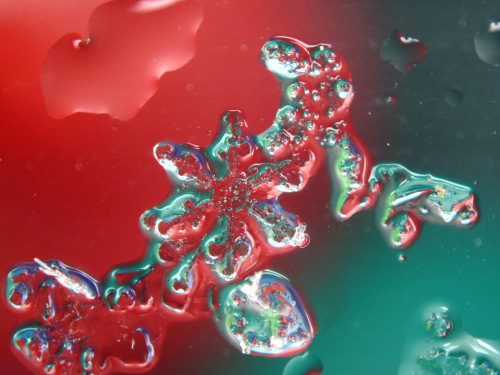 snow-crystal-Тающие_снежинки-wikimedia-commons