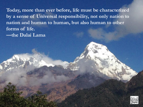 A_View_from_Ghandruk_By_Ammit_Shrestha_via_Wikimedia_Commons copy