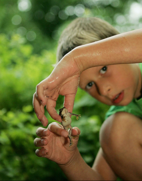 Cute_child_boy_playing_with_frog_U.S._Fish_and_Wildlife