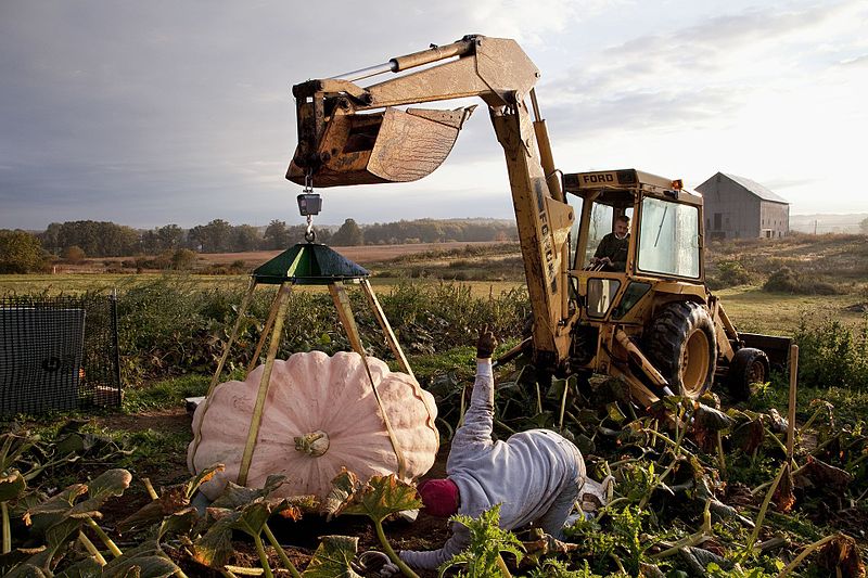 File:Pointing Up.jpg